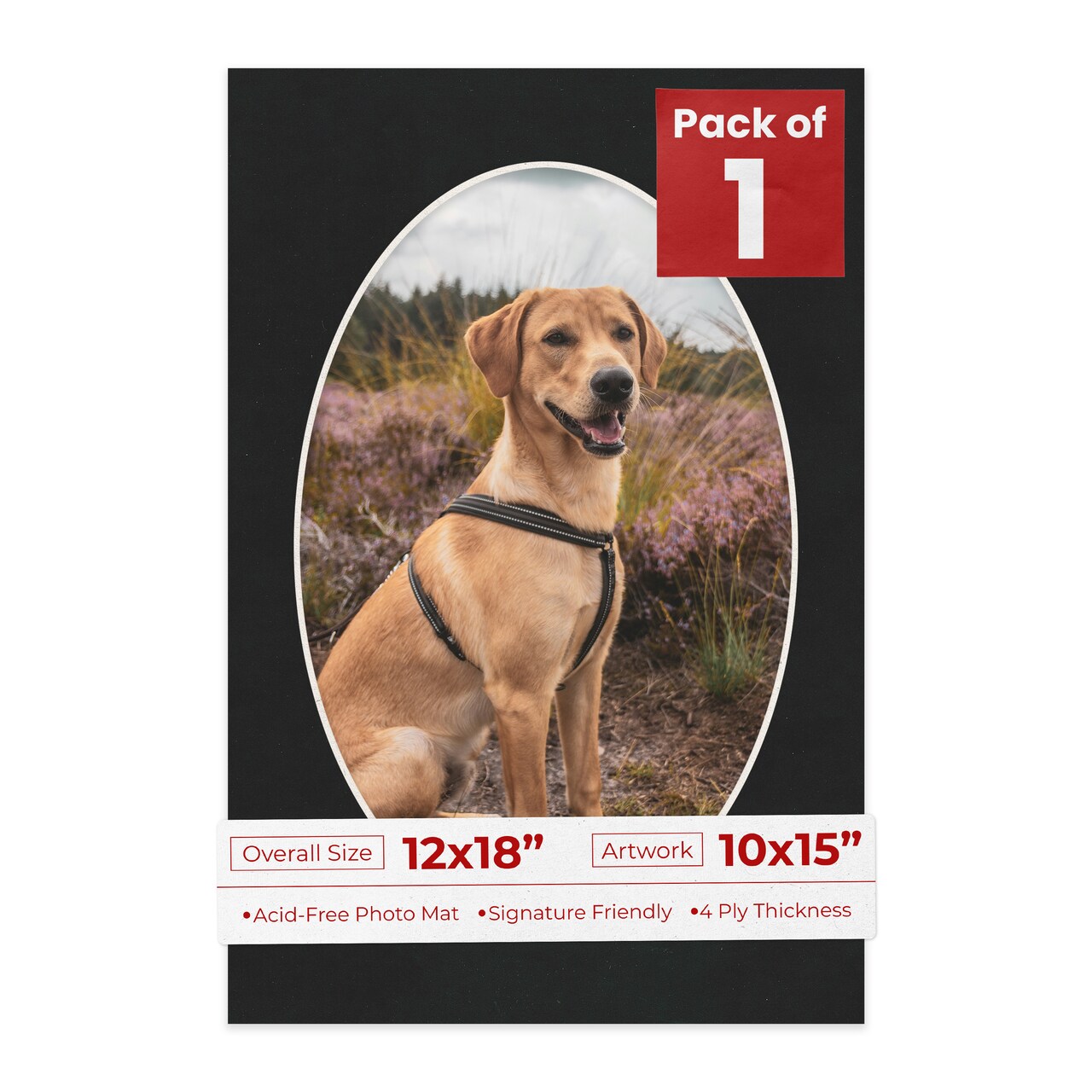Black Suede Mat Board for 12x18 Frames - Oval Opening for 10x15 Photos